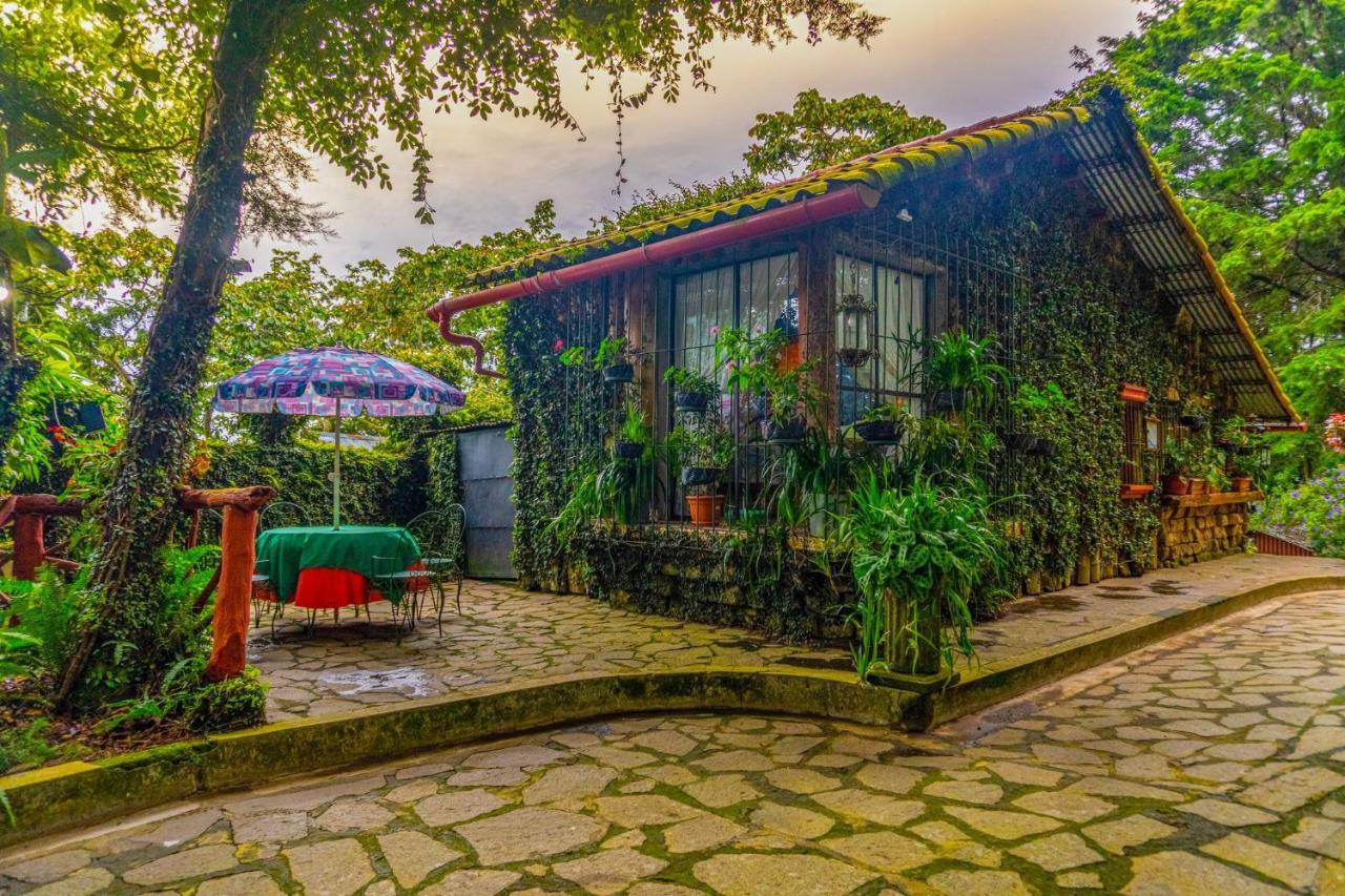 Los Naranjos Town Houses ภายนอก รูปภาพ