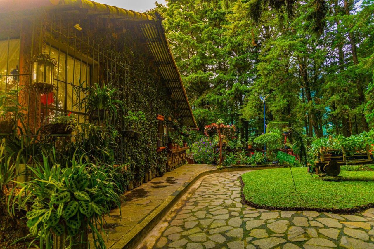 Los Naranjos Town Houses ภายนอก รูปภาพ